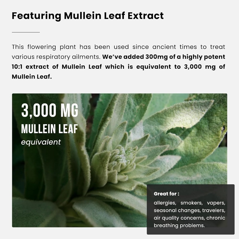 멀레인 잎 추출물 - 폐 정화 - 면역 지원, 해독 및 - Herbal Supplement 리뷰 및 가격