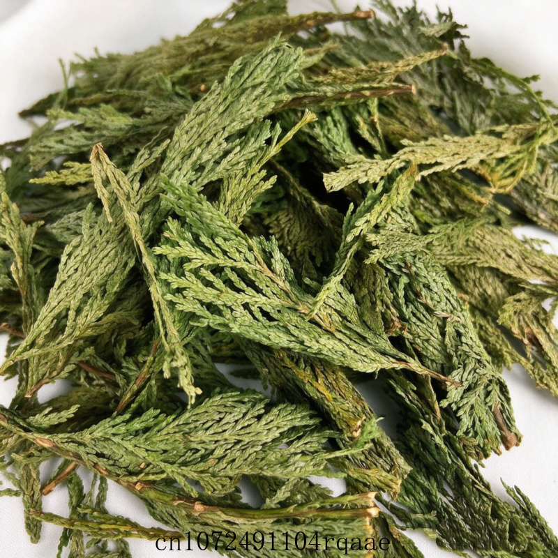 건조 화이트 세이지 잎과 시더 잎, 천연 향이 나는 허 - Dried Herbs 리뷰 및 가격